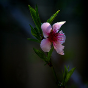 _mg_4516a_favva_card