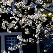 _mg_4471a_card