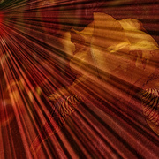 1_cid_002c01c7f20d_60131b30_d5411d41_4martyeveline_card