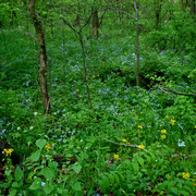 Dsc02761ab_card