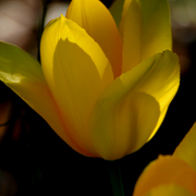Img_4761a_fav_card