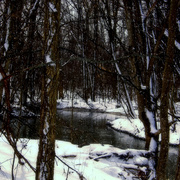 P3082552edited_edited-1f_card