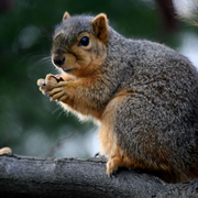 _mg_4252a_fav_8_card