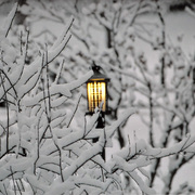 Christmas_day_snow_2004_card