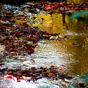 Pb020504edited_edited-2_card