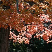 Pb030629edited_edited-2_card