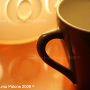 Photo_by_livia_palone_2009_card