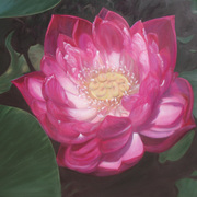 Lotus_luminescent_fortune__card