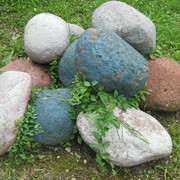 Img_0298_card