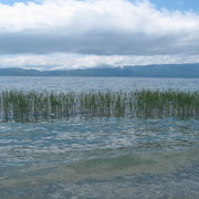 Img_0316_card