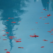 Img_0300_card