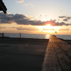 Beach_dwellers_thumb