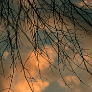 Pb281081edited_edited-5_card