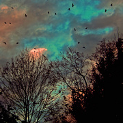 Pb050663edited_ii_edited-2_card