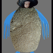 Penguen-pudgy22_card