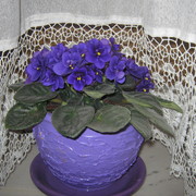 Img_0392_1__card
