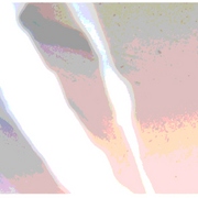 Jtyj_card