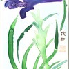 Wild_orchid_sumi_thumb