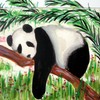 Pandaclose_thumb