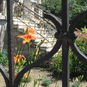 Img_0414_1__card