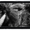 1716444_157297_be1f81f203_p_thumb
