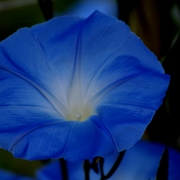 Img_2509ab_card