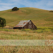 Cali0016_052018_wm_card