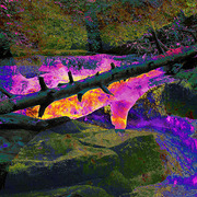 01fire_falls_card