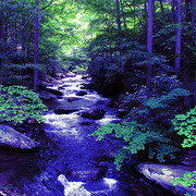 01twenty_mile_creek_card