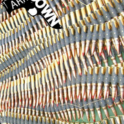 Armsdwnlyout_card