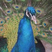 My_photos_010_card