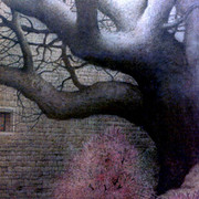 Lo_sanno_i_miei_alberi___lo_sa_la_luna_con_il_suo_chiarore_lo_sa_la_mezzanotte_card