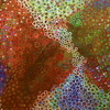 Dsc00131_thumb