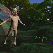 Pond-ering_card