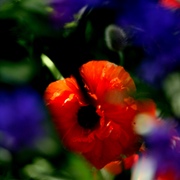 Img_5676ab_card