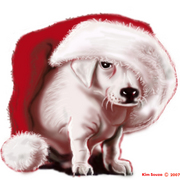 Xmas_puppy800_card