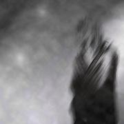 L_c8ee793dfc186b08c09da76a29bf3542_card