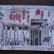 Dsc08071_card