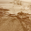 Bruneaudunes_thumb