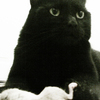 Catandmouse_thumb