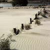 Weiserdunes_thumb
