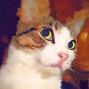 0_bd7d_5d9554b7_xl-1_card