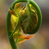 101_9560_thumb