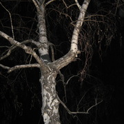 Img_0472_card