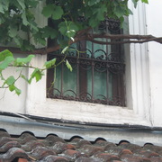 Img_0512_card