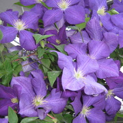 Img_0522_card