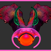 Nobull-22345_card