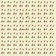 Wall_card
