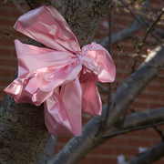 Pink_ribbon_8x10_card
