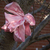 Pink_ribbon_8x10_tiny_square